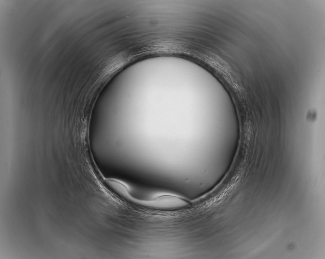 X0000098030841200804181227