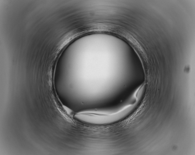 X0000098030842200804181227