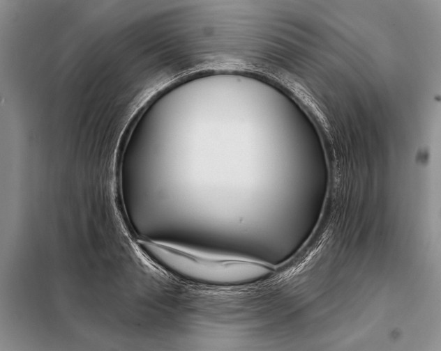 X0000098030845200804181227