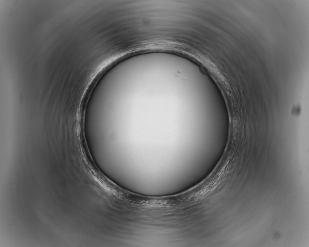 X0000098030846200804181227