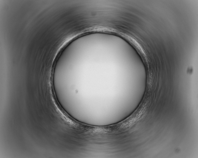 X0000098030847200804181227