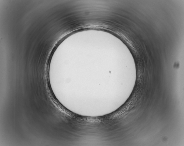 X0000098030848200804181227