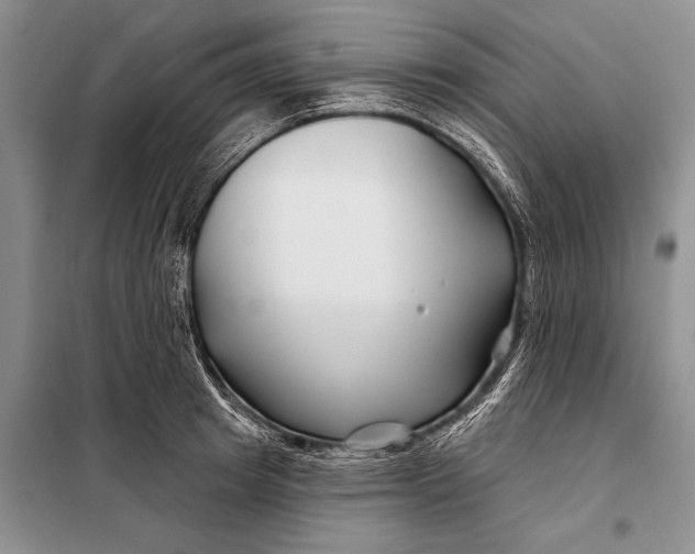 X0000098030849200804181227