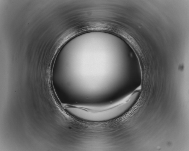 X0000098030850200804181227