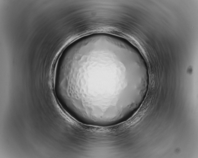 X0000098030851200804181227