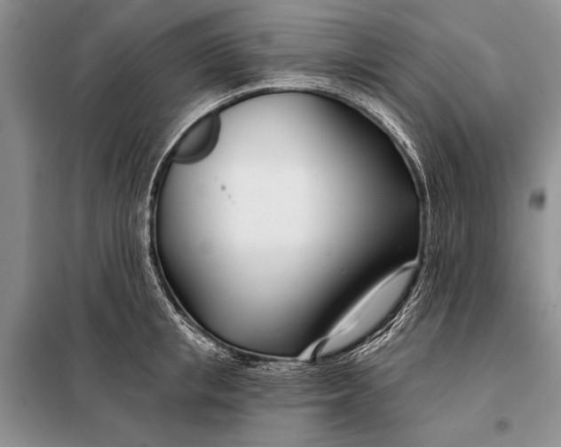 X0000098030853200804181227