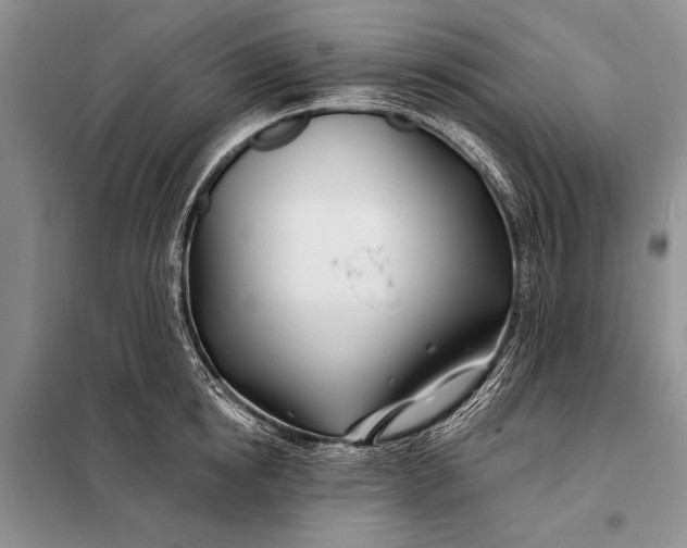 X0000098030854200804181227