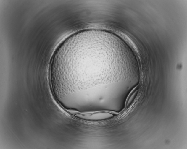 X0000098030855200804181227