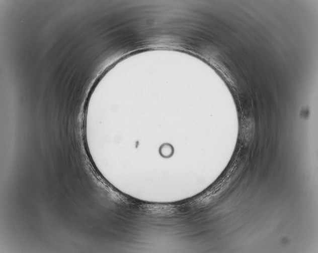 X0000098030856200804181227