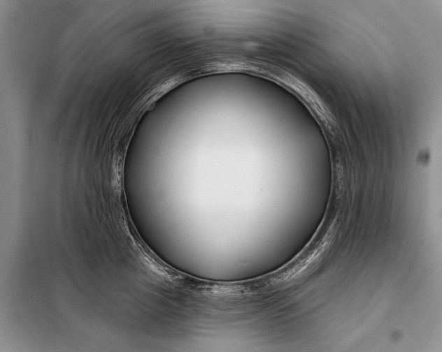 X0000098030857200804181228