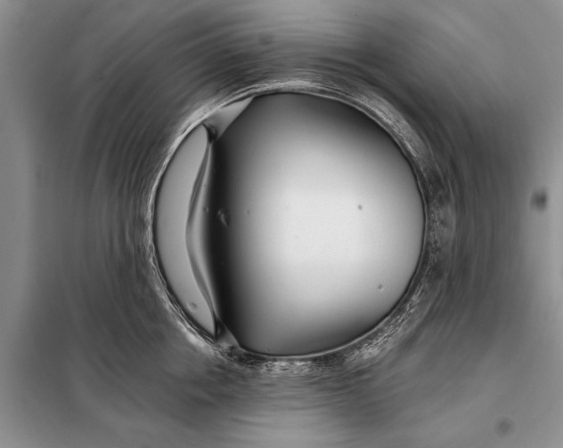 X0000098030858200804181228