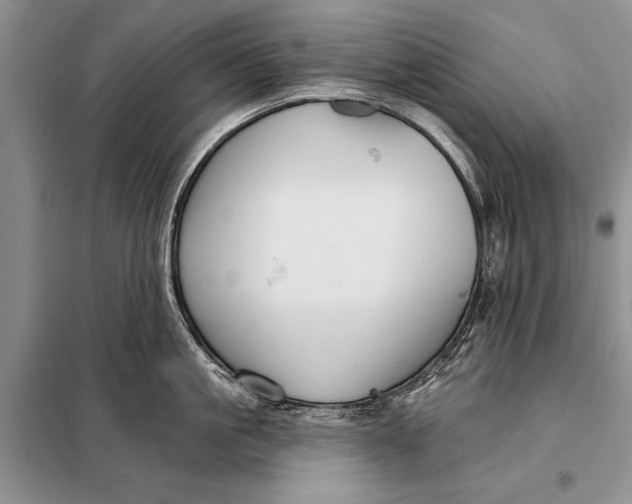 X0000098030861200804181228