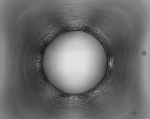 X0000098030867200804181227