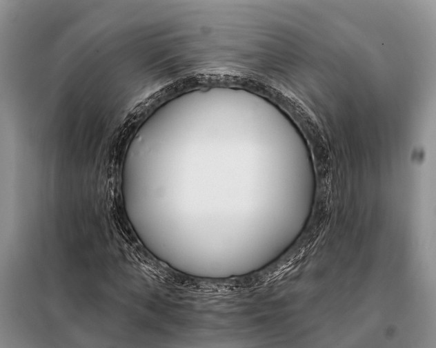 X0000098030870200804181227