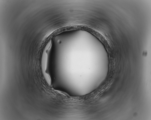 X0000098030871200804181227