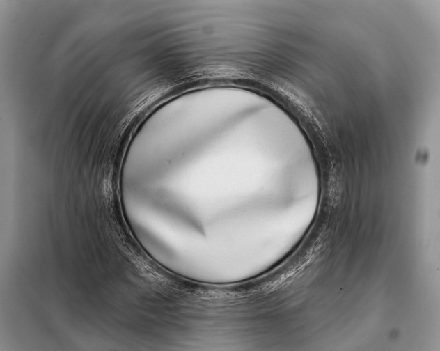 X0000098030873200804181227