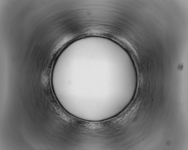 X0000098030874200804181227