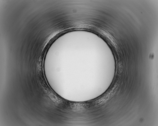 X0000098030875200804181227