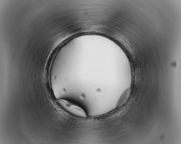 X0000098030876200804181227