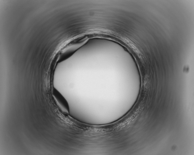 X0000098030877200804181227