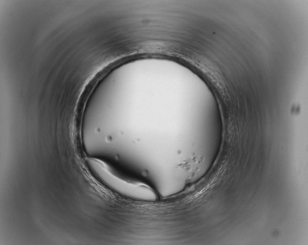 X0000098030880200804181227