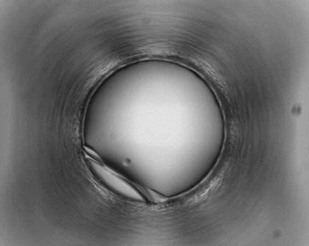 X0000098030881200804181227