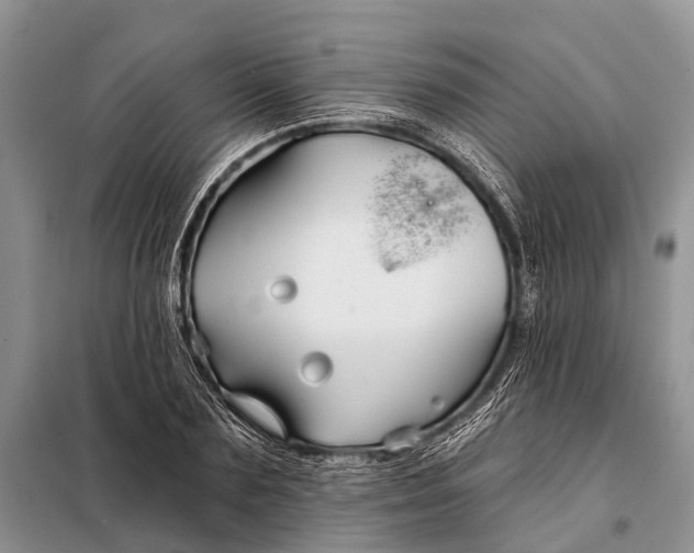 X0000098030883200804181227