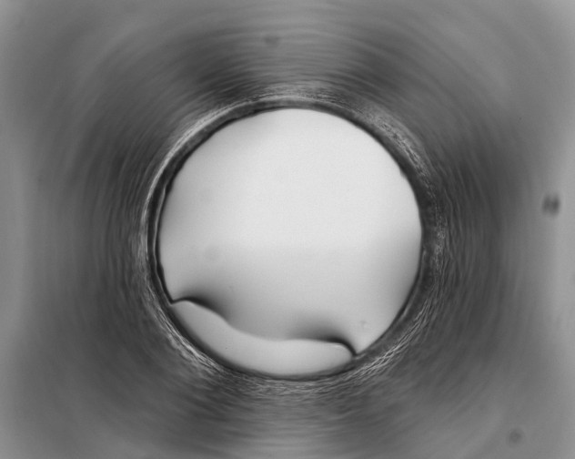 X0000098030884200804181227