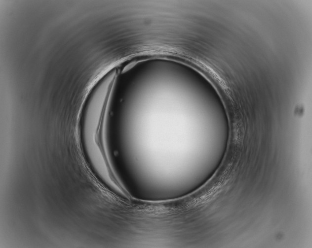 X0000098030885200804181227