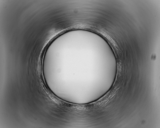 X0000098030886200804181227