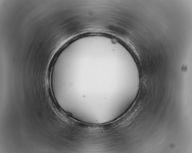 X0000098030887200804181227