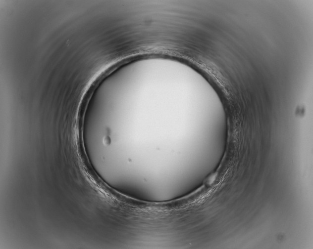 X0000098030888200804181227