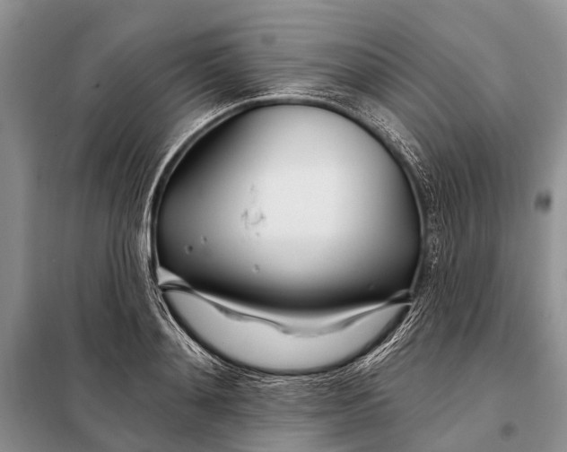 X0000098030892200804181227