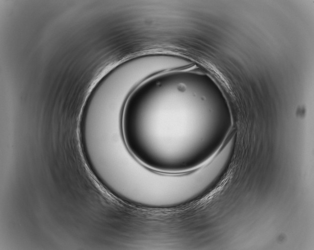 X0000098030893200804181227