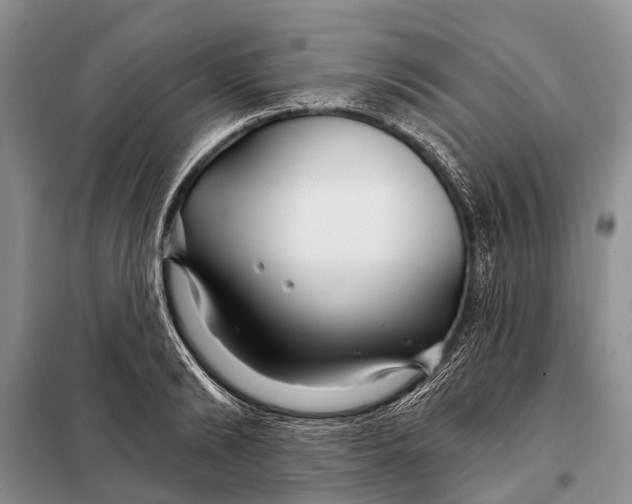 X0000098030894200804181227