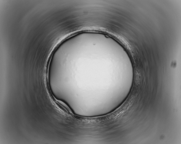 X0000098030895200804181226