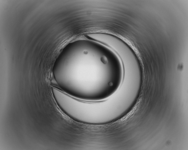 X0000098030897200804181226