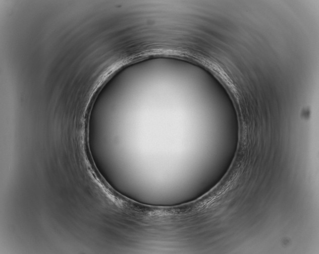 X0000098030898200804181226