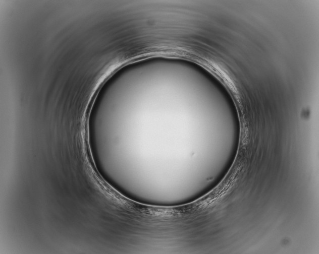 X0000098030899200804181226