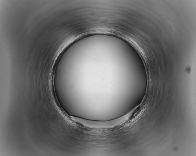 X0000098030901200804181226