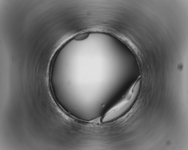 X0000098030902200804181226