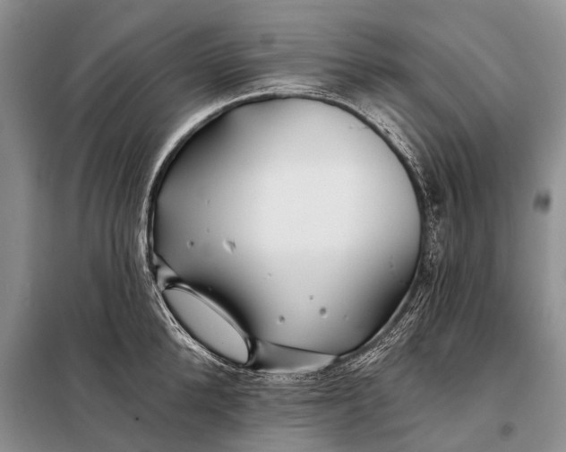 X0000098030904200804181226