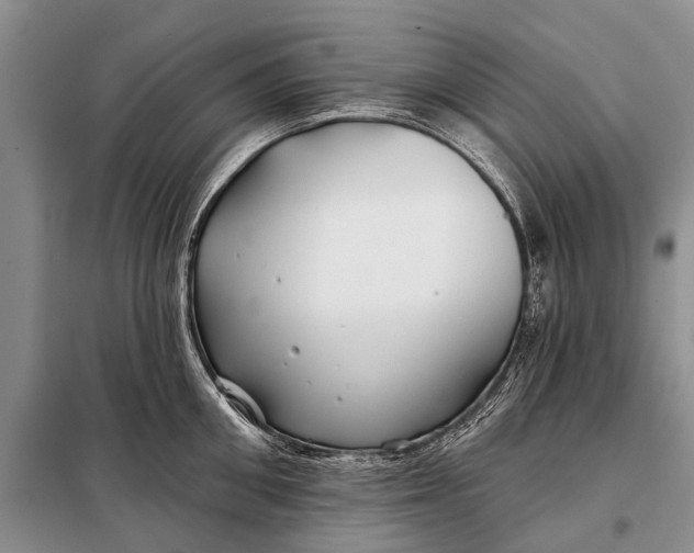 X0000098030906200804181226