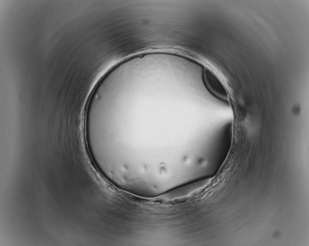 X0000098030907200804181226