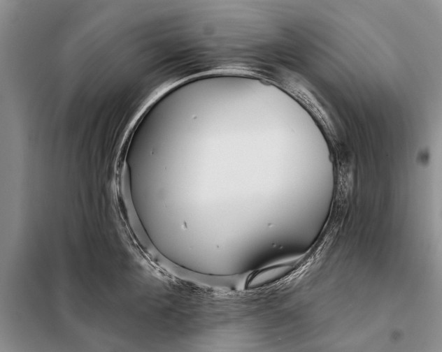 X0000098030908200804181226