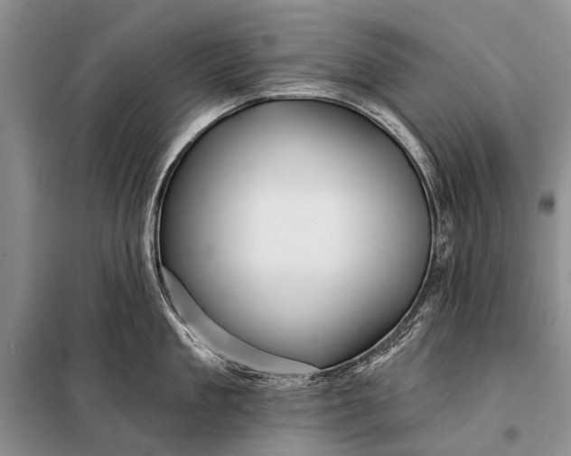 X0000098030909200804181226