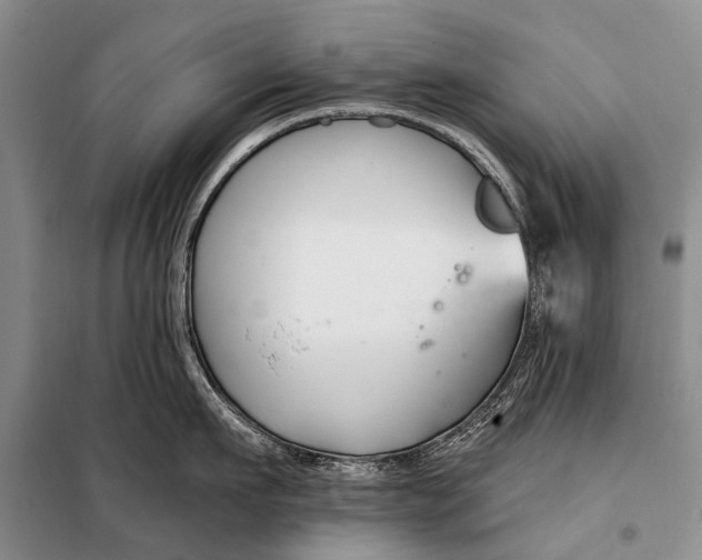 X0000098030911200804181226