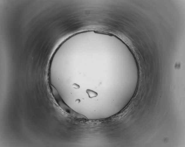 X0000098030912200804181226