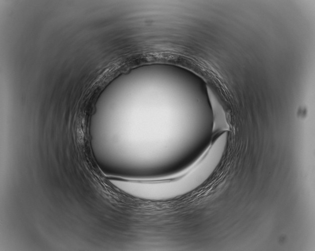 X0000098030915200804181225