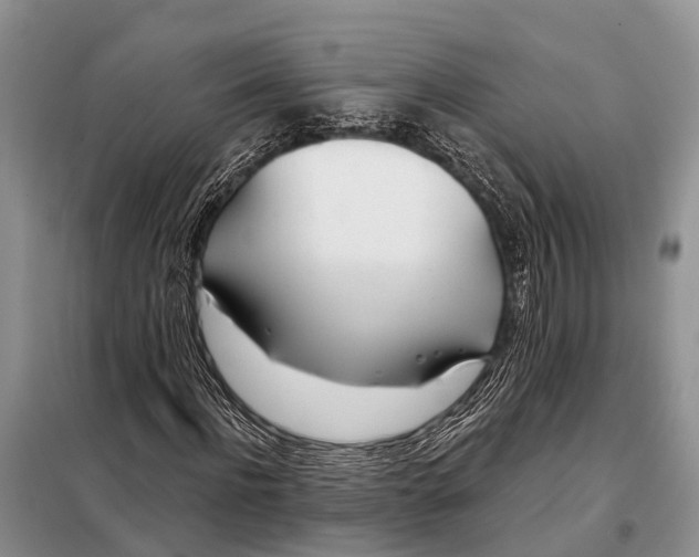 X0000098030916200804181225